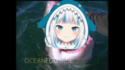 Only pats for shark, no lood.