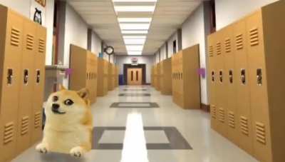 Le doge learns mathematics