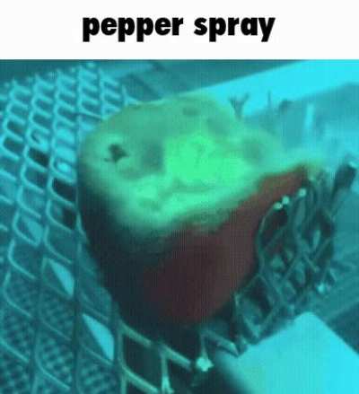 pepper spray