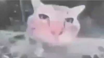title this