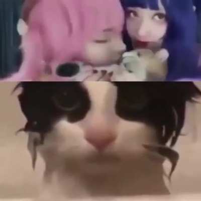Kitty just like me fr