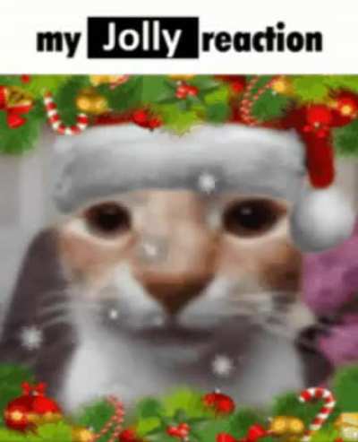 Last week till christmas🎄🧑&zwj;🎄