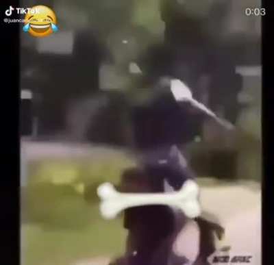 😂🦴