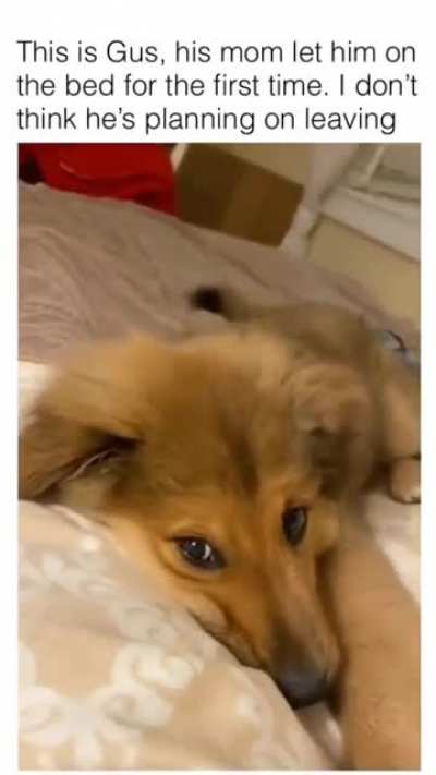 This is my bed now