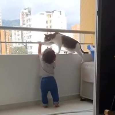 Safety cat
