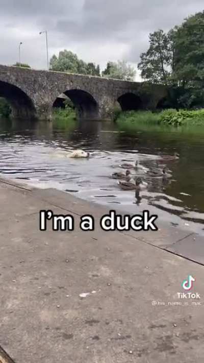 &ldquo;Day 9 they don&rsquo;t suspect anything.&rdquo;