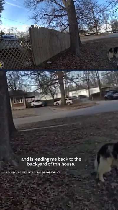 Dog leads police officers to missing child in Louisville