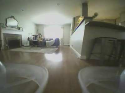 Drone gets taken down by surprise attack