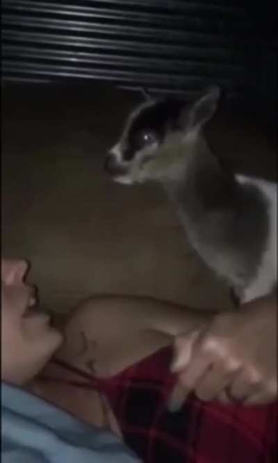 &ldquo;Feed me!!!&rdquo;