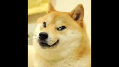 doge