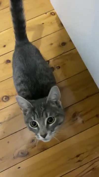 She only &ldquo;yells&rdquo; at me when I&rsquo;m making her dinner