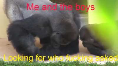 We can&rsquo;t find it