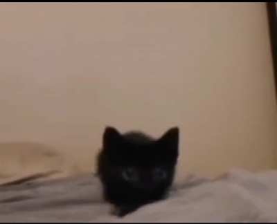 :c