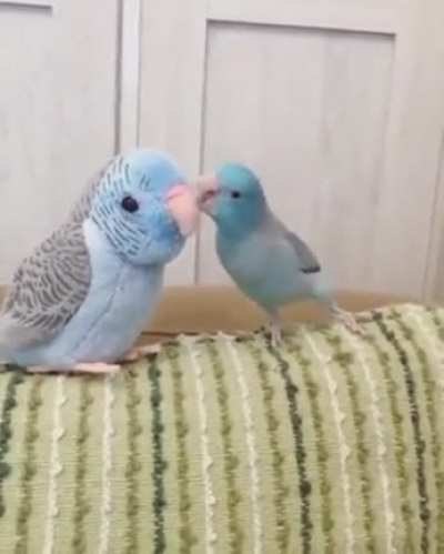 I am talking to you!