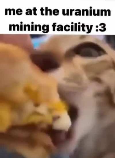 Greedy Wunk