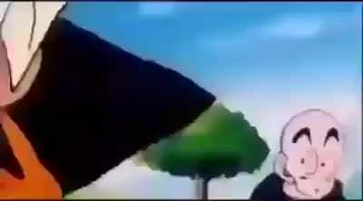 Krillin pelado de mierda