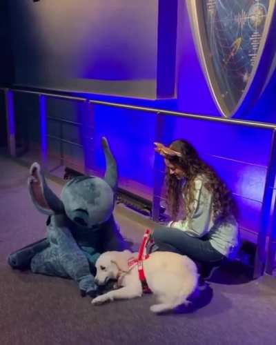 &ldquo;Ezra the Golden Girl&rdquo; meets Stitch at Walt Disney World.