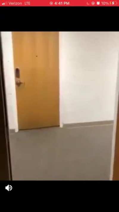 What are they all running from?