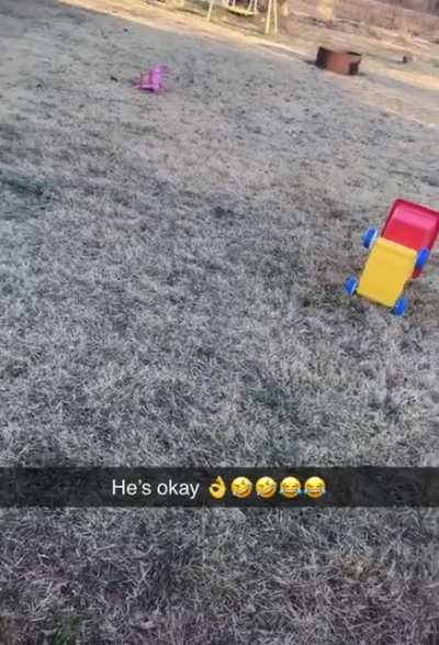 Playing fetch with a dog