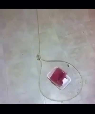 blursed_trap