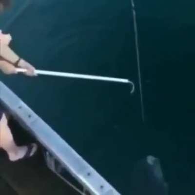 Carioca pescando