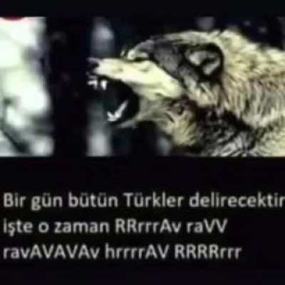 Maara ama hoşuma gitti