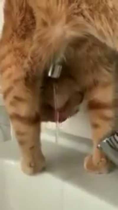 Nice technique bro