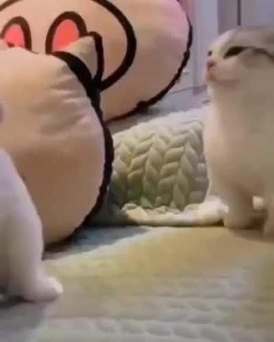 Not mine but figured it would fit in here