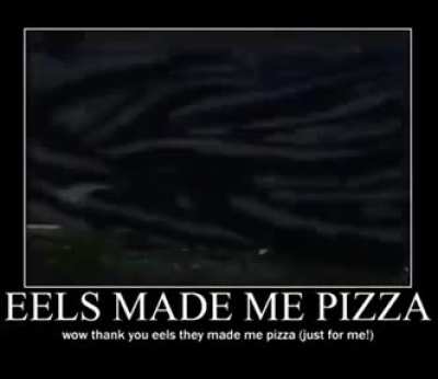 Thank you eels
