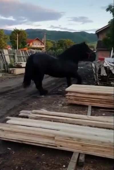 he just got a new haircut