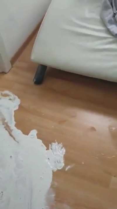 Ansgar, what did you do?