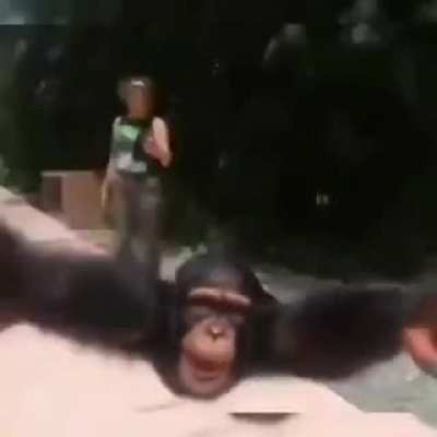 monito >:)