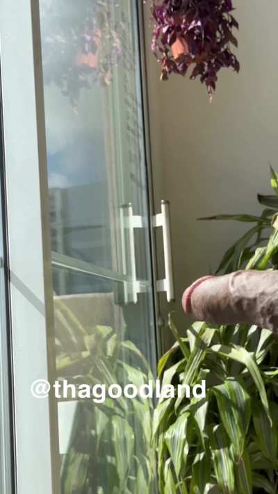 Dick felt thick