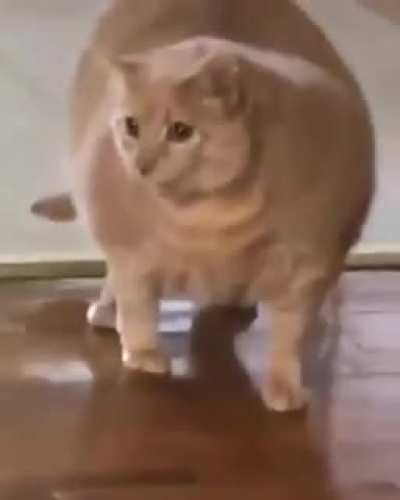 Dat a thicc ass boii !