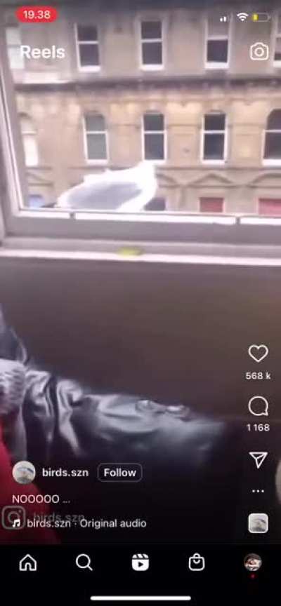 Why are you still here?