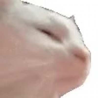 Cat head bop
