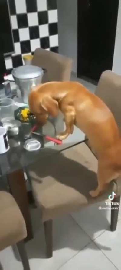 pego no flagra