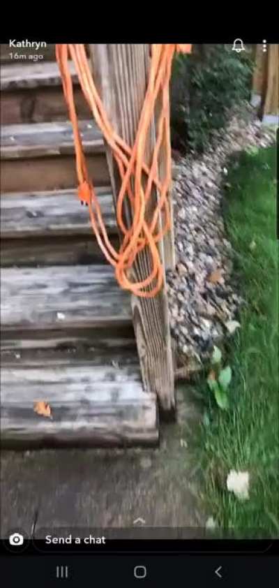 Gotcha!!