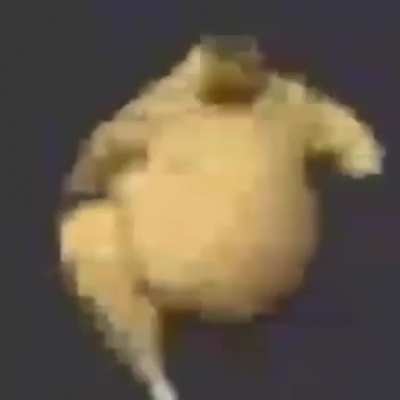 Chicken walk