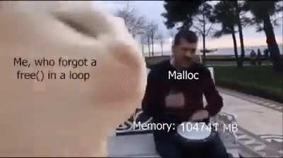 c moment 💀