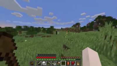 Oh that’s the enderman, right?