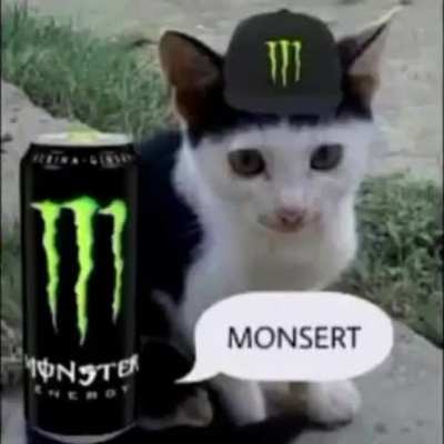 rule 🐱🥤