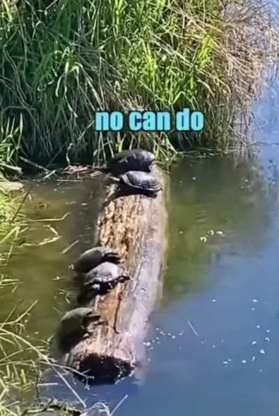 I’m the captain