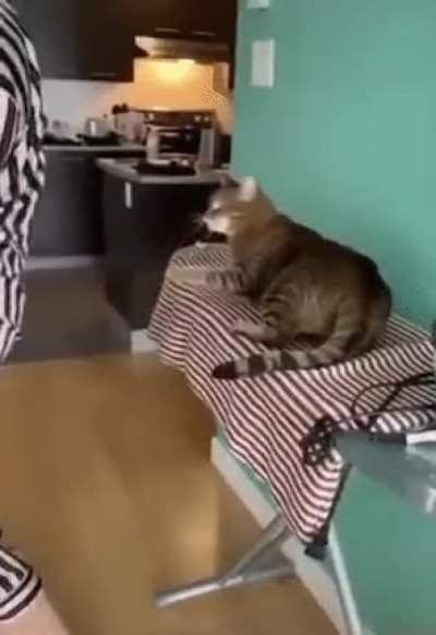Кусь