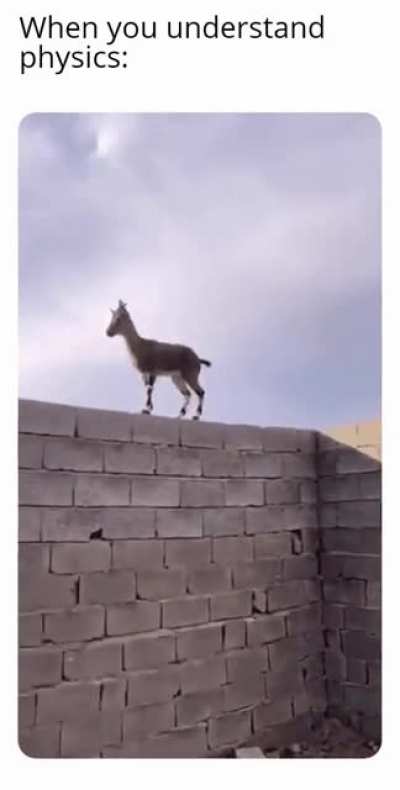 GOAT