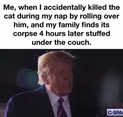 R.I.P. Mr. Mowsers.