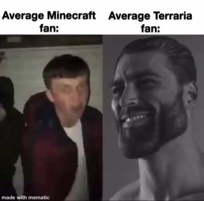 Every Terraria fan*