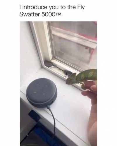The most practical pet out there