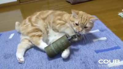 cursed_toy