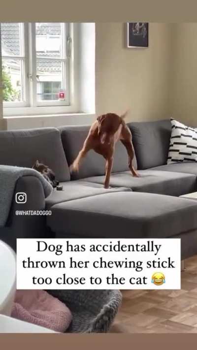 Maybe maybe maybe 